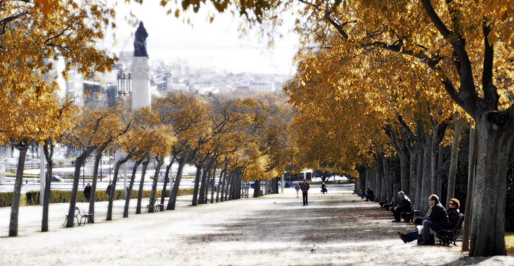 Autumn in Lisbon