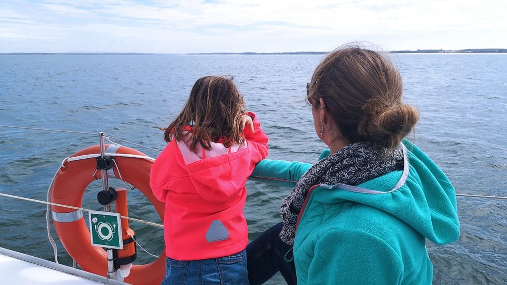 Kids love this dolphin watching tour in Setúbal