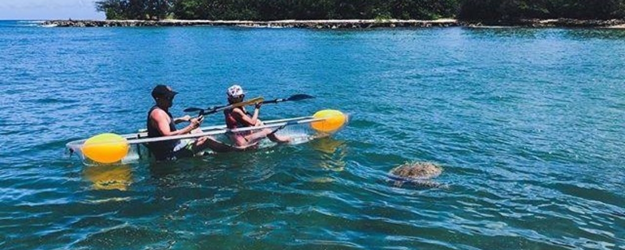 Rent a SUP or Kayak in Haleiwa