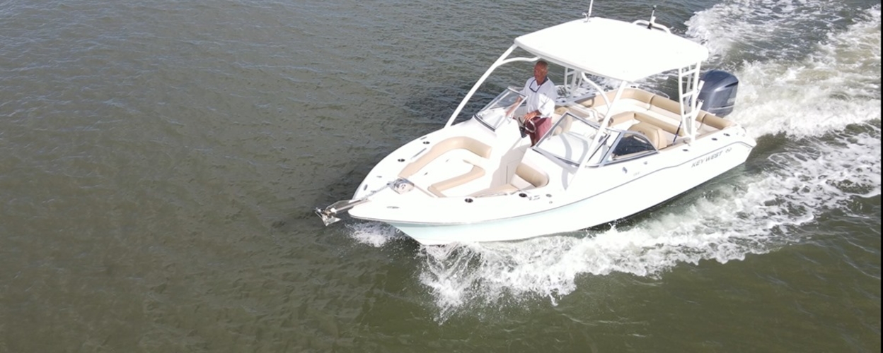 Two-hours Private Dolphin Tour in Hilton Head