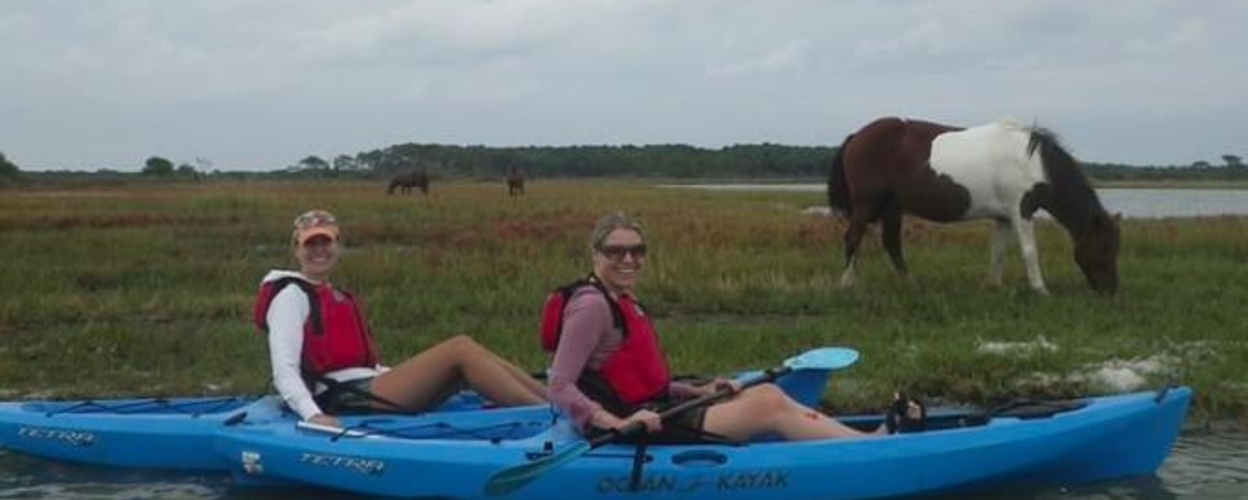 Wildlife Kayak Tour in Maryland