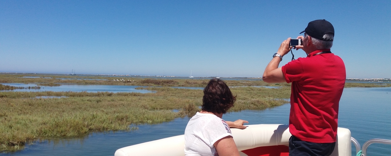 Birdwatching and Nature Cruise in Ria Formosa