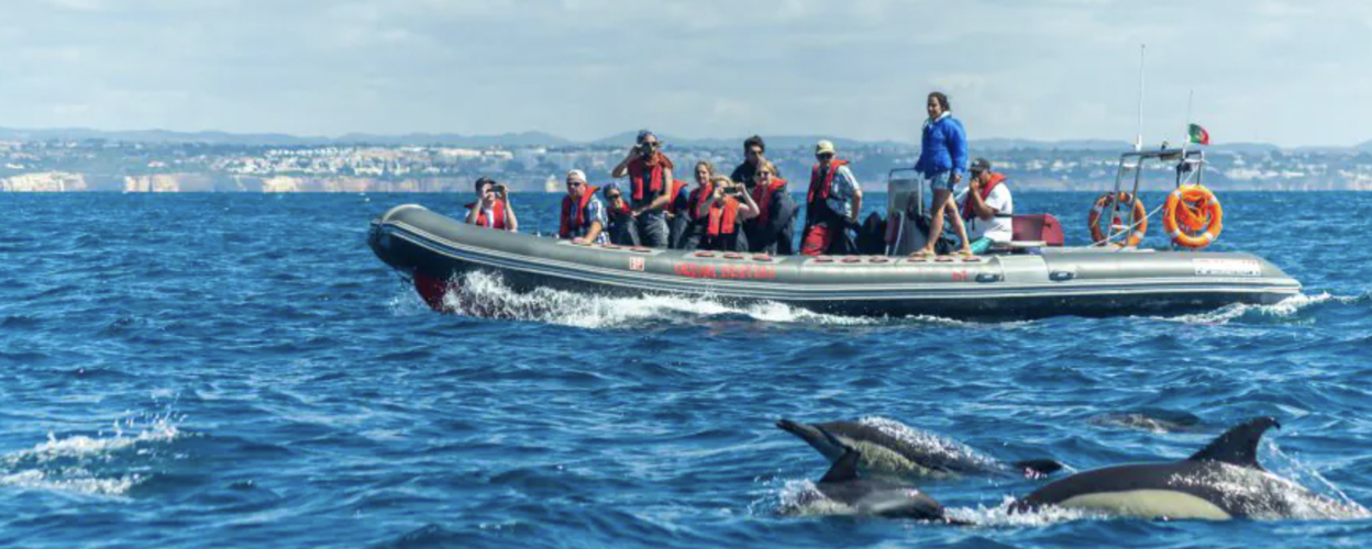 Benagil & Dolphin on a RIB Boat from Albufeira
