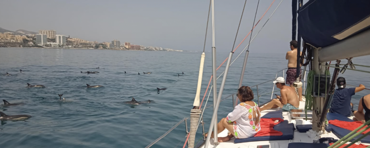 Dolphin and Sailing Tour in Fuengirola