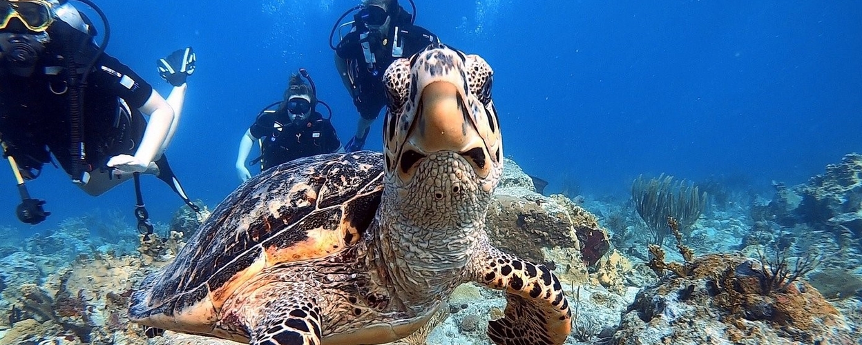 Scuba Diving Packages in St. Thomas