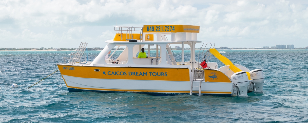 Boat Tour with Snorkeling in Turks and Caicos 
