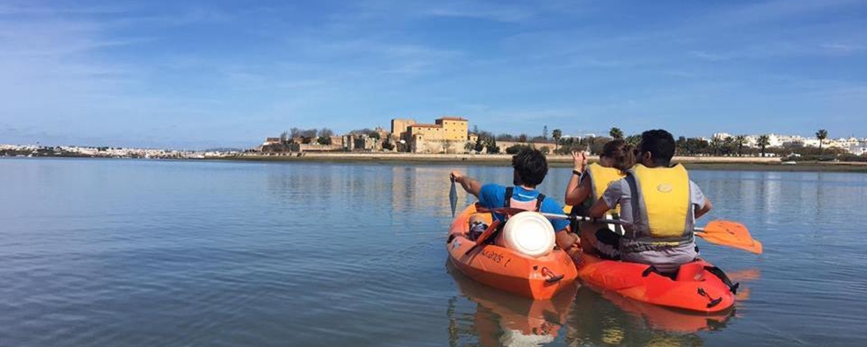 Cover for Half day kayaking in Ria Formosa