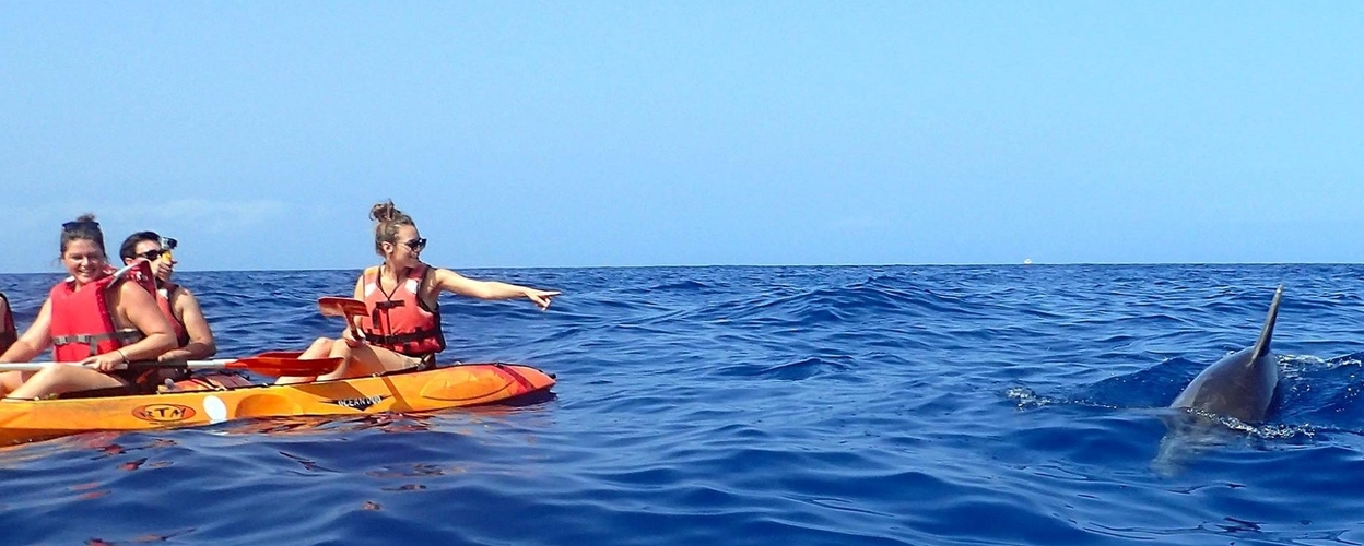 Cover for Kayak tour with dolphins in Tenerife