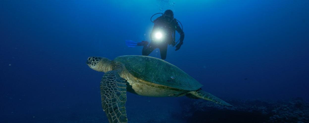 PADI Specialty Diver Course in Honolulu