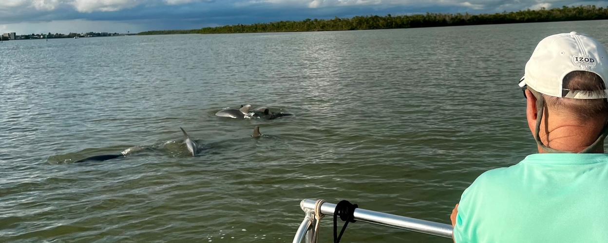 Wild Dolphin Boat Tour in Goodland