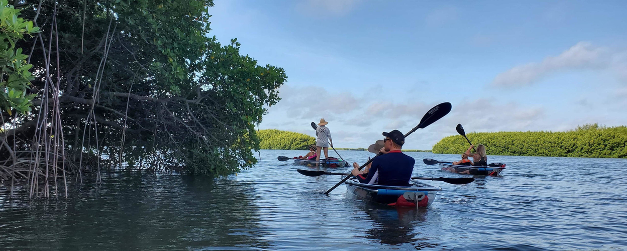 Clear Kayak Tour in Shell Key Preserve
