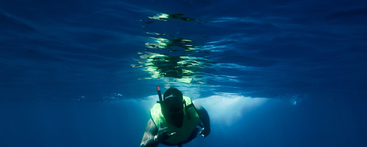 snorkeling with marine life hawaii