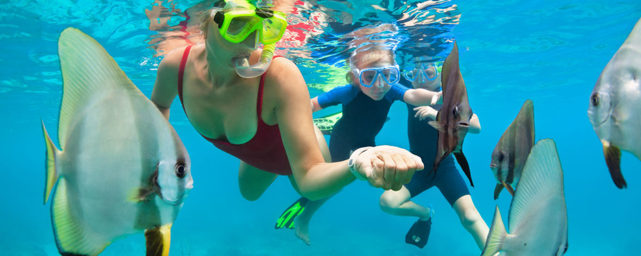 Snorkeling Cruise in Waianae