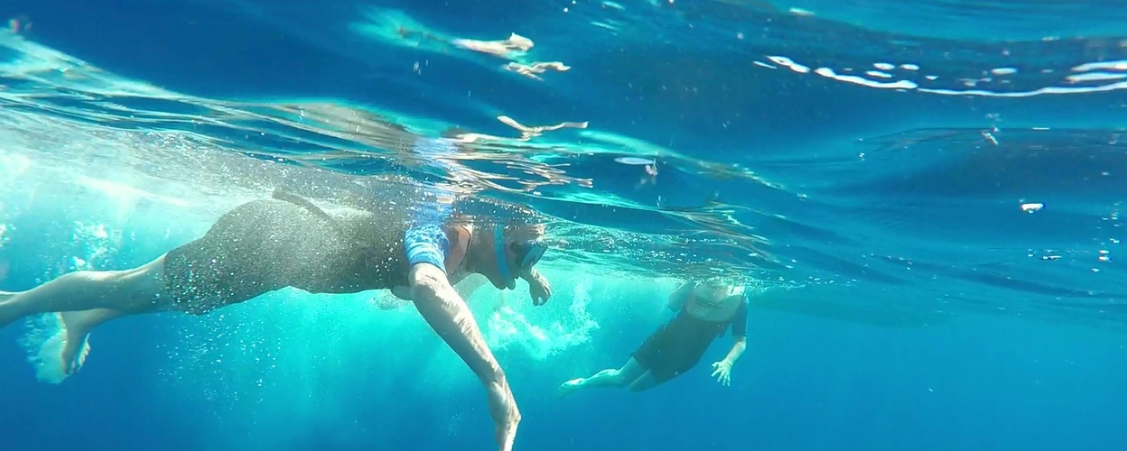 Swimming with dolphins in Pico