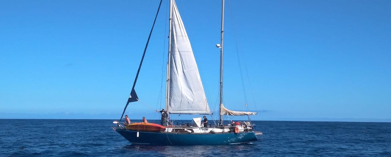 Cover for Sailing tour with whales and dolphins in La Gomera