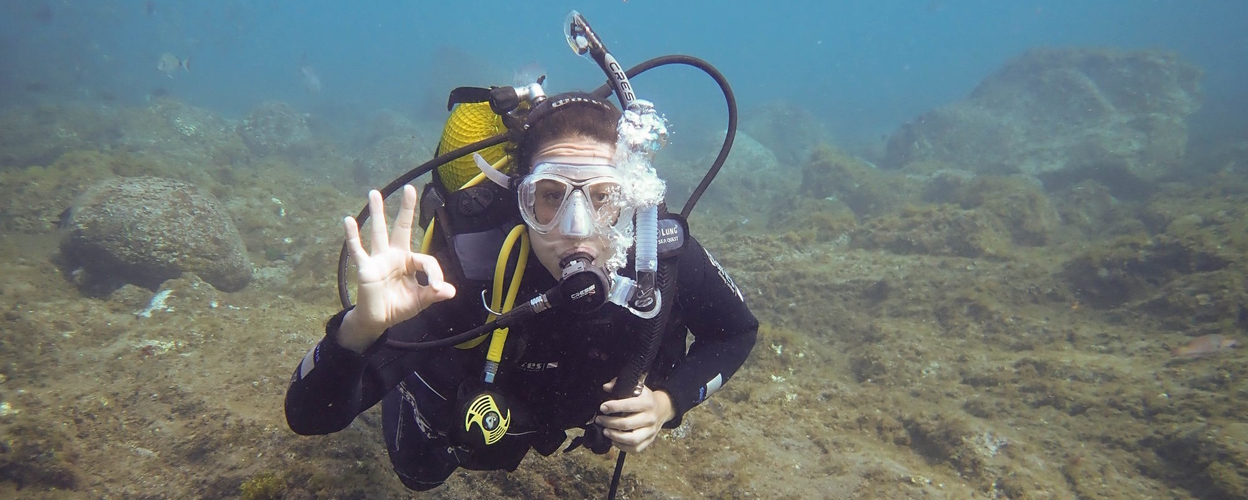 Tenerife scuba diving
 Cover