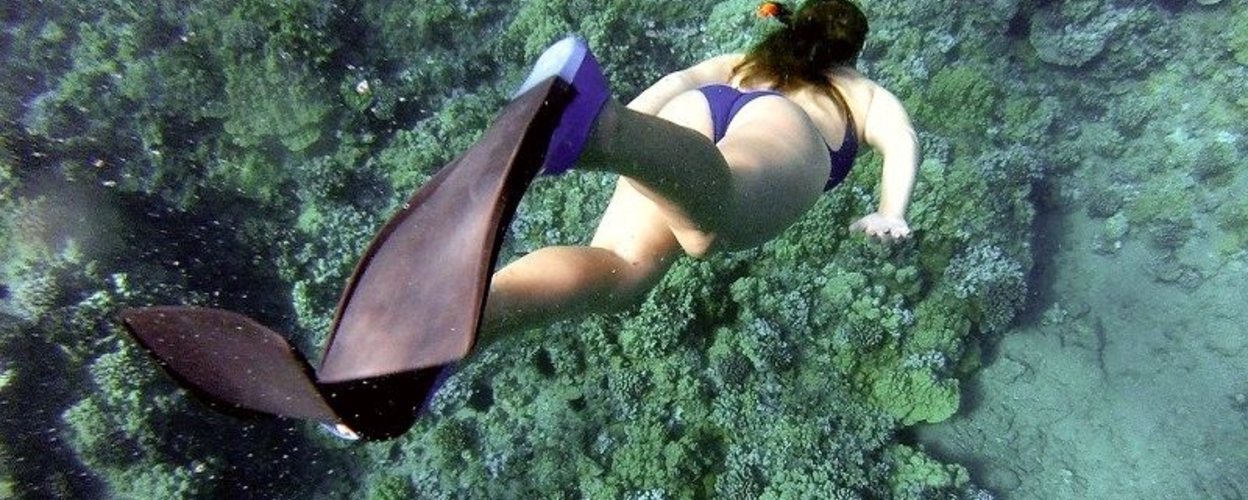 Snorkeling in Tenerife does not require previous experience