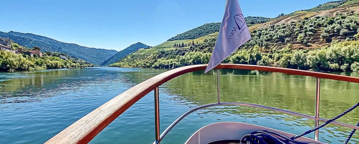 Private Douro valley boat tour Cover