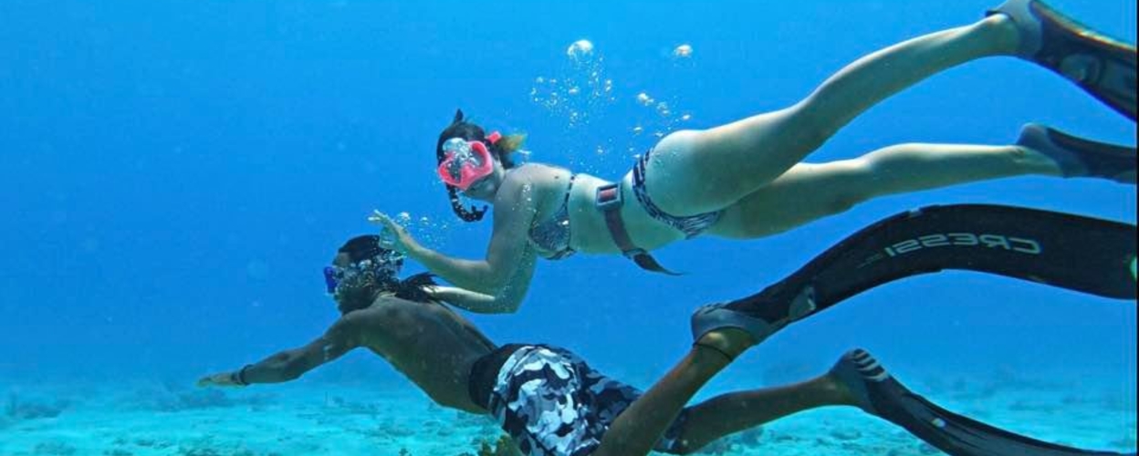 Snorkeling in Barbados