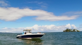 Private Boat Tour in Hilo