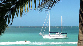 Morning Mimosa Sailing Tour in Key West