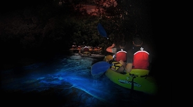 Night Kayak Bay Tour in Las Croabas