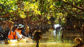 Everglades & 10,000 Islands Kayak Tour in Orlando