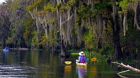 Adventures Kayak Tour in Orlando