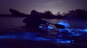 Clear Bioluminescence Kayak Tour at Cocoa Beach