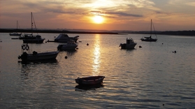 Cover for Champagne cruise during sunset in Alvor