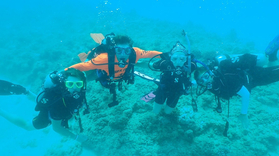 PADI Rescue Diver and EFR Course in Honolulu