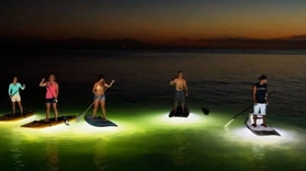 Cover for SUP in Alicante by night