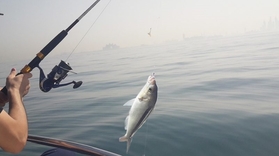 Cover for Full day fishing charter in Dubai