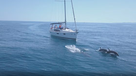 Cover for Private sailing charter in Benalmádena