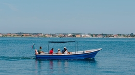 Aveiro Boat tour Cover