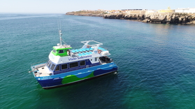 Cover for Boat tour to Berlenga Islands