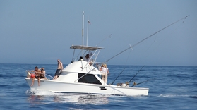 Fishing boat Madeira
