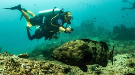 Cover for first scuba diving experience in Santa Pola