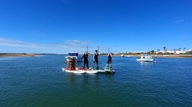 It's a fun activity to SUP in Ria Formosa
