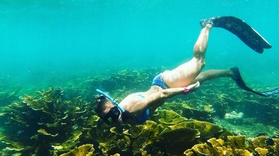 Private Snorkeling tour in Barbados