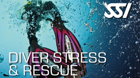 Diver Stress and Rescue in Arrabida Natural Park