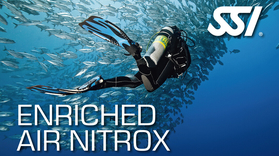 Enriched Air Nitrox Diving in Arrabida Natural Park