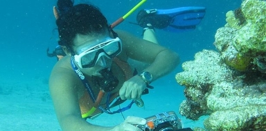 Punta Cana Diving