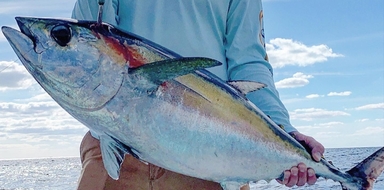 Six-hour Fishing Tour in Fort Lauderdale