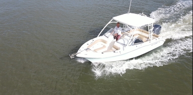 Two-hours Private Dolphin Tour in Hilton Head