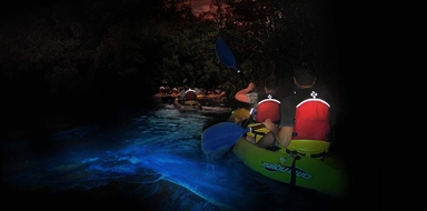 Night Kayak Bay Tour in Las Croabas