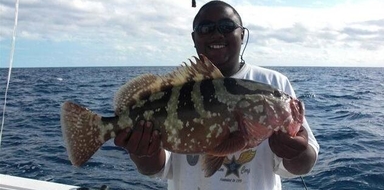 Half Day Reef Fishing in Providenciales