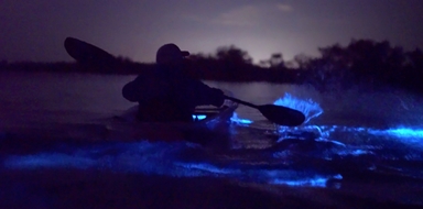 Clear Bioluminescence Kayak Tour at Cocoa Beach