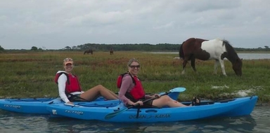 Wildlife Kayak Tour in Maryland