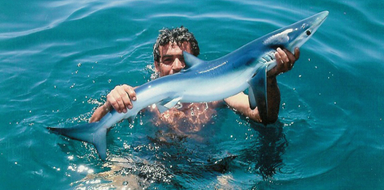 Cover for Shark fishing tour in Vilamoura
